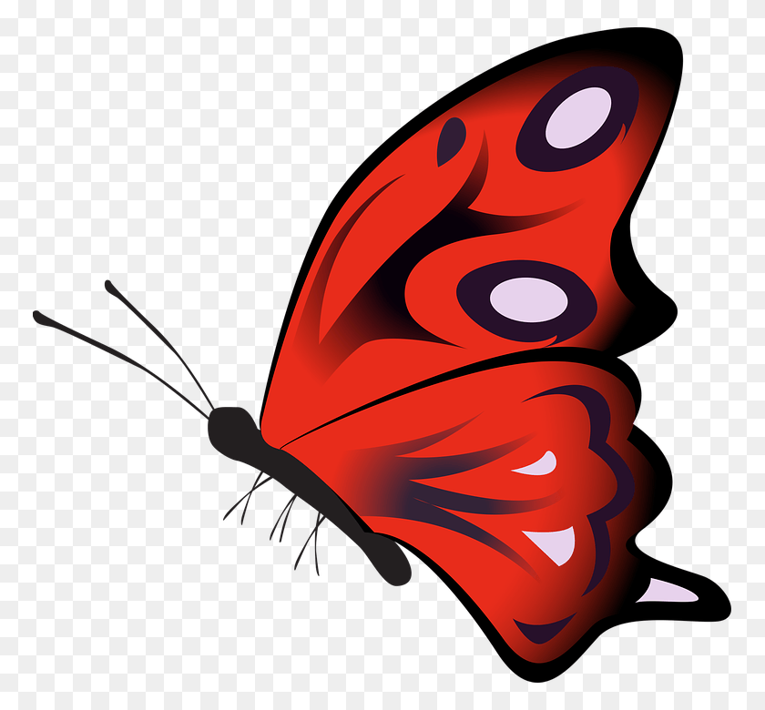 767x720 Butterfly Colorful Red Insect Decoration Decor Papillon Rouge, Invertebrate, Animal, Dynamite HD PNG Download