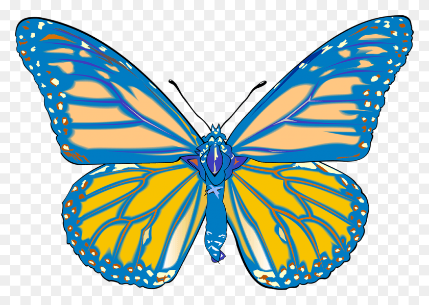 960x663 Бабочка Рисунок Графика Графический Дизайнер Вектор Тату Бабочка Монарх Черно-Белое, Узор, Фиолетовый Png Скачать