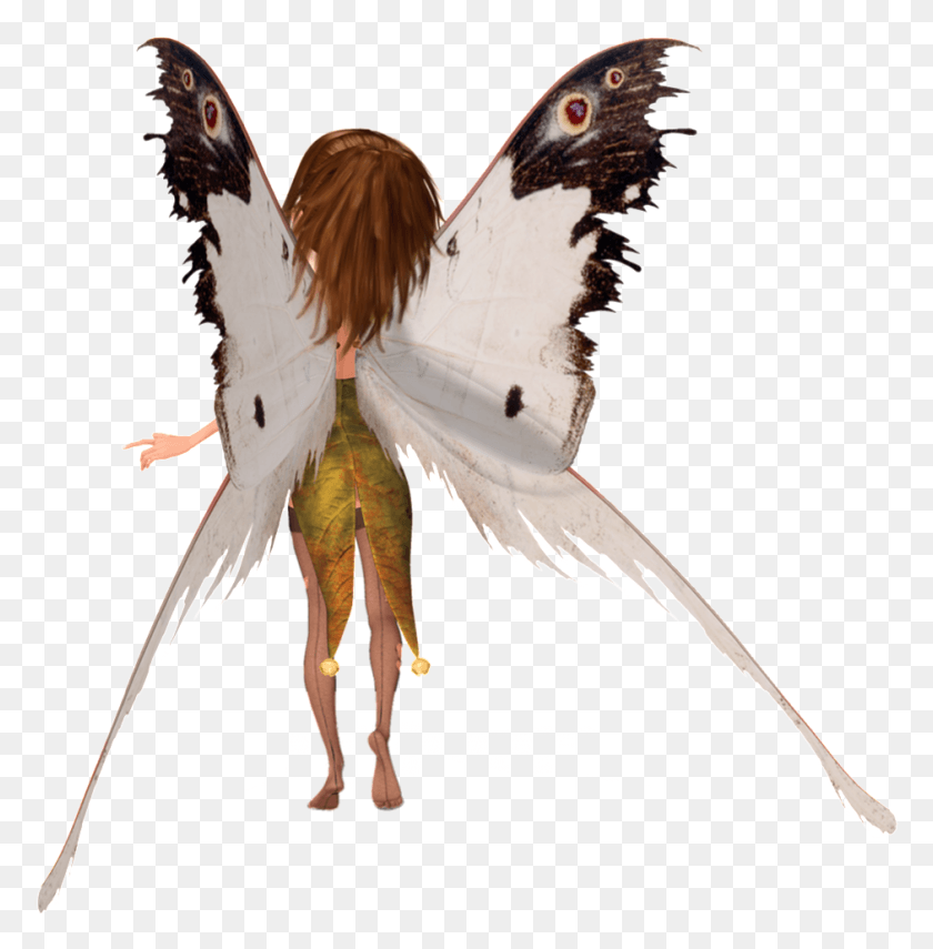 940x959 Mariposa Elfo De Dibujos Animados Ilustración Transparente, Animal, Pájaro Hd Png