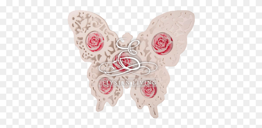 410x350 Butterfly Family Picture Frame Butterfly, Accessories, Accessory, Jewelry HD PNG Download
