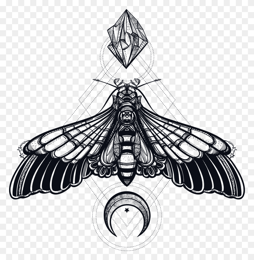 4276x4388 Descargar Png Mariposa Geometría Creativa Insecto Muerte Cabeza Hawkmoth Death Head Polilla Dibujo, Símbolo, Adorno, Emblema Hd Png