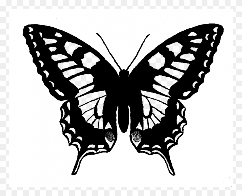 1600x1274 Butterfly Illustration Skeleton With Butterfly Wings, Stencil, Animal, Insect HD PNG Download