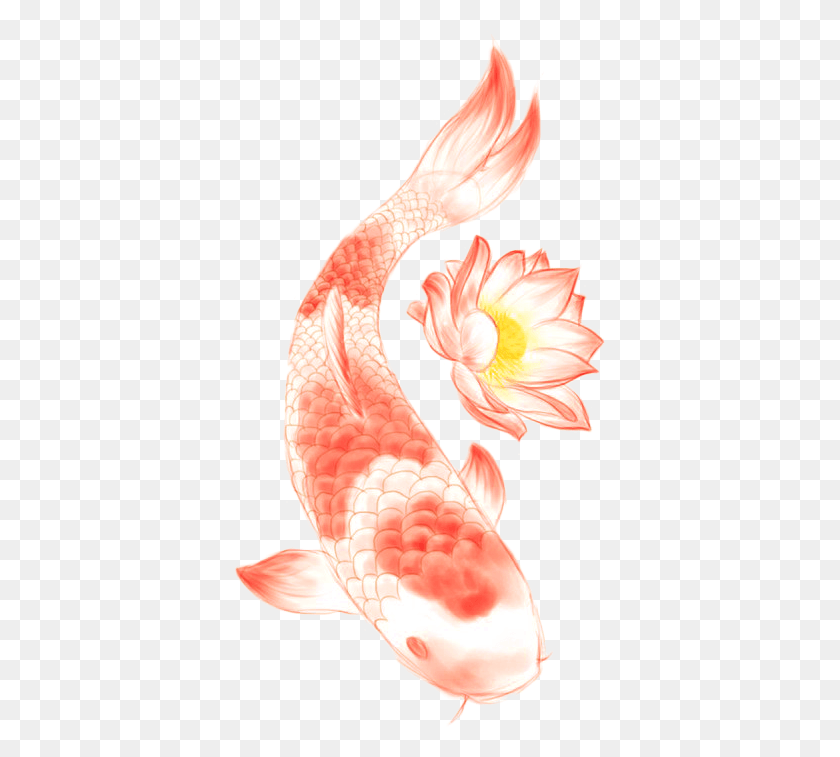 373x697 Butterfly Koi Nelumbo Nucifera Lotus Symbol Tattoo Lotus Tattoo Designs, Animal, Flamingo, Bird HD PNG Download