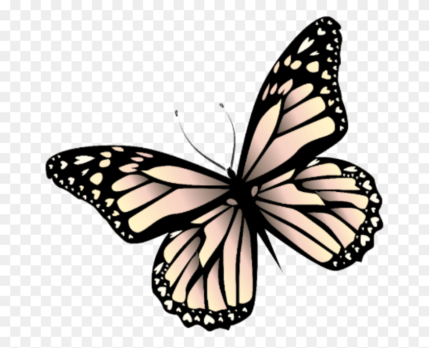 666x622 Бабочка Mariposa Monarch Monarca Nature Naturaleza Бабочка Monarcas, Насекомое, Беспозвоночное, Животное Png Скачать