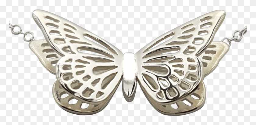1303x585 Butterfly Necklet Pieridae, Animal, Silver, Invertebrate HD PNG Download