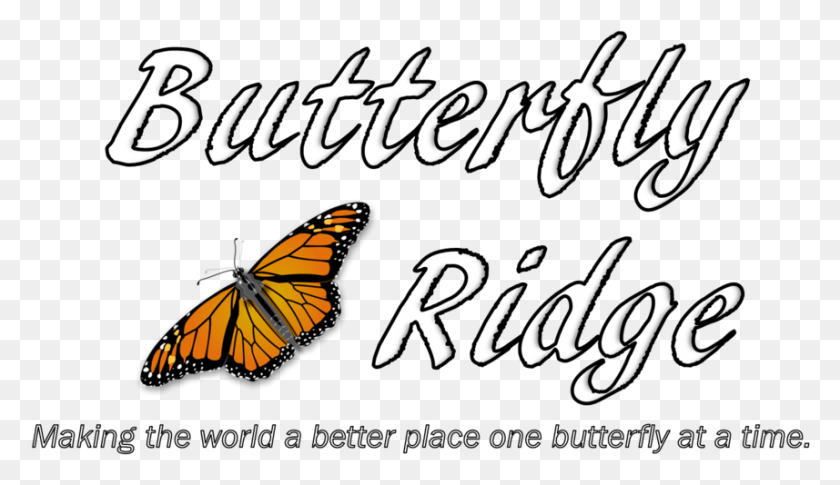 857x468 Butterfly Outline, Text, Calligraphy, Handwriting HD PNG Download