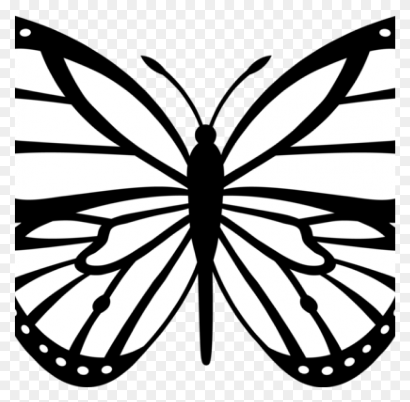 1025x1005 Butterfly Outline Clipart Butterfly Outline Clipart Monarch Butterfly Black And White, Stencil, Pattern, Insect HD PNG Download