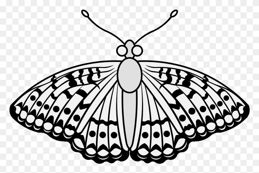 1265x816 Бабочка Papilio Machaon, Насекомое, Беспозвоночное, Животное, Hd Png Скачать