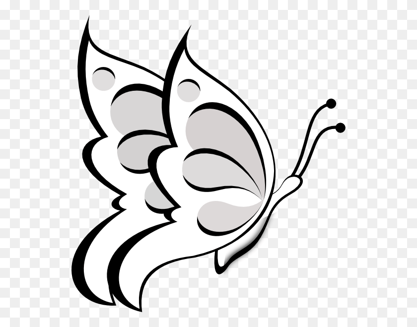 552x599 Butterfly Papillon Dog Free Content Clip Art Outline Images Of Butterflies, Stencil, Pattern, Graphics HD PNG Download