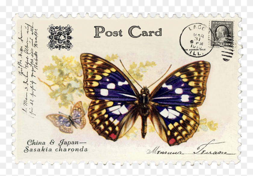 1295x871 Butterfly Postage Stamp 8 Juno Vintage Butterfly Postage Vintage, Insect, Invertebrate, Animal HD PNG Download