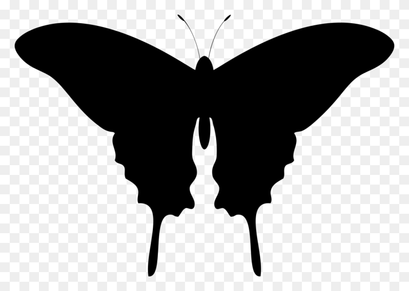 1085x750 Butterfly Silhouette Drawing Lepidoptera Butterfly Silhouette, Gray, World Of Warcraft HD PNG Download