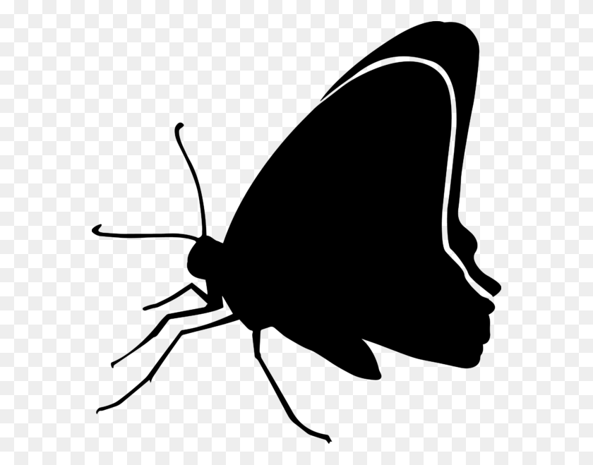 580x599 Butterfly Silhouette Graphic By Aparnastjp Butterfly, Gray, World Of Warcraft HD PNG Download