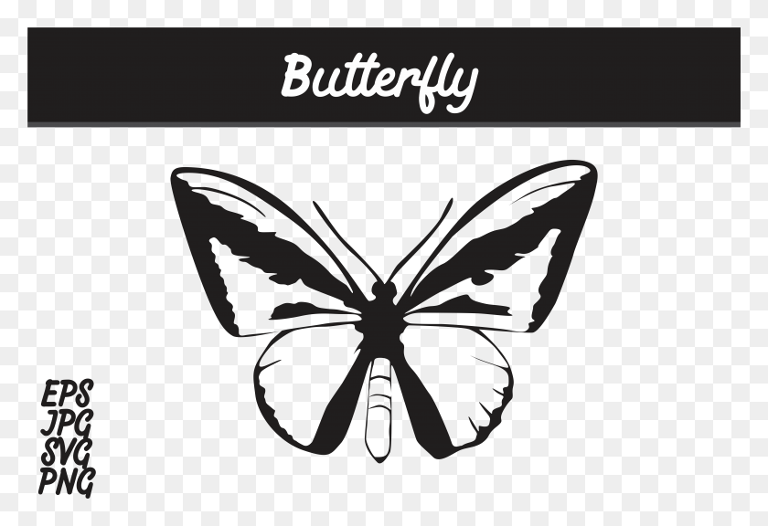 7515x4974 Butterfly Silhouette Svg Vector Image Graphic By Arief Batik Mega Mendung Vector, Spider, Invertebrate, Animal HD PNG Download