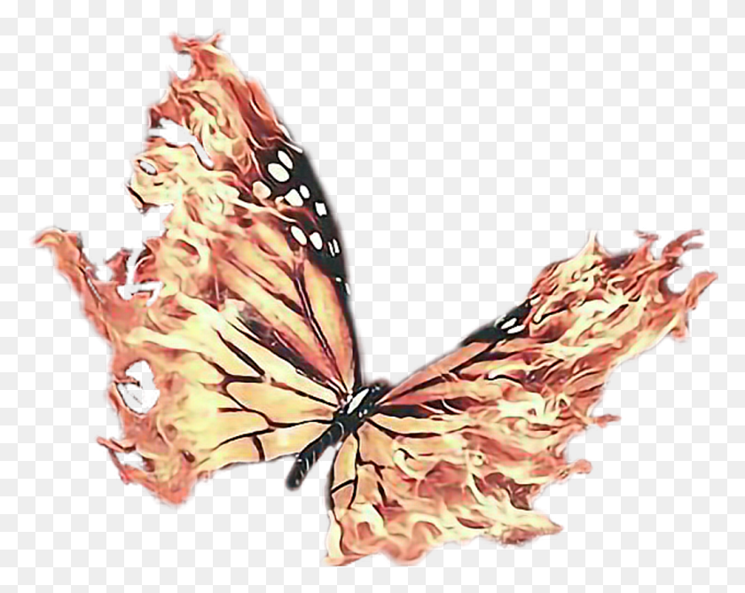 1024x800 Butterfly Sticker Transparent Fire Butterfly, Animal, Insect, Invertebrate HD PNG Download