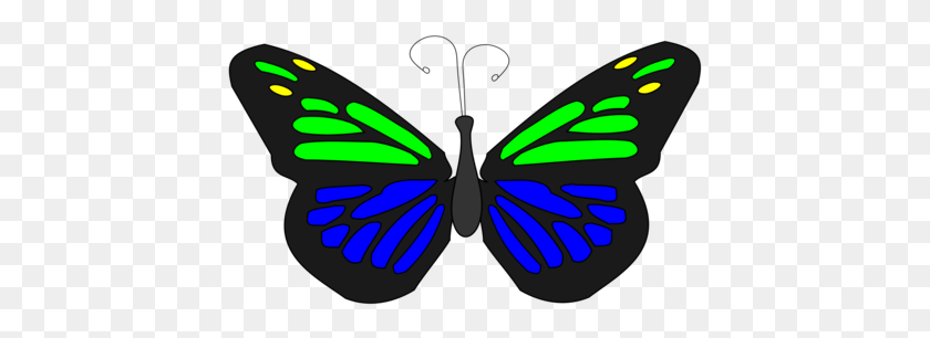 429x246 Бабочка Прозрачная Бабочка Анимированная, Насекомое, Беспозвоночное, Животное Png Скачать