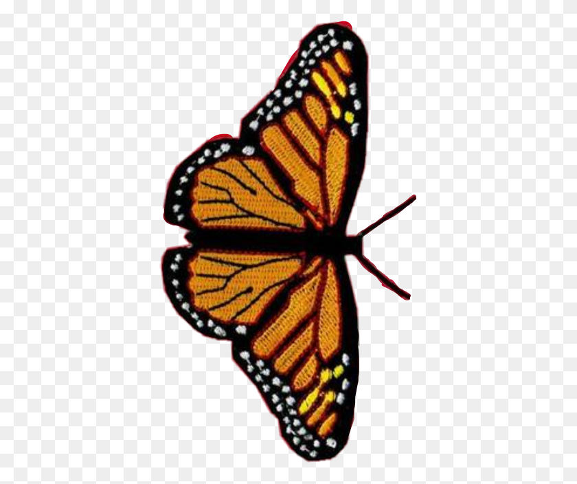 375x644 Mariposa Vsco Monarch Edits Pretty Remix Estética Iphone Xs Max Wildflower Case, Insecto, Invertebrado, Animal Hd Png