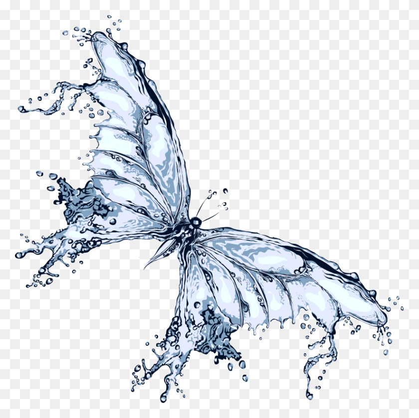 821x819 Butterfly Water Liquid Free Transparent Image Hq Clipart Butterfly Made Of Water, Bird HD PNG Download