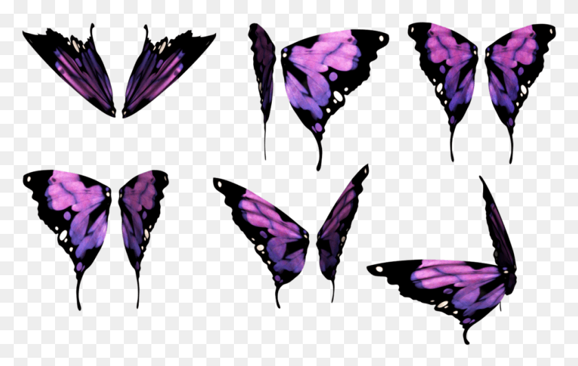 953x577 Butterfly Wings Butterfly, Plant, Purple, Flower HD PNG Download