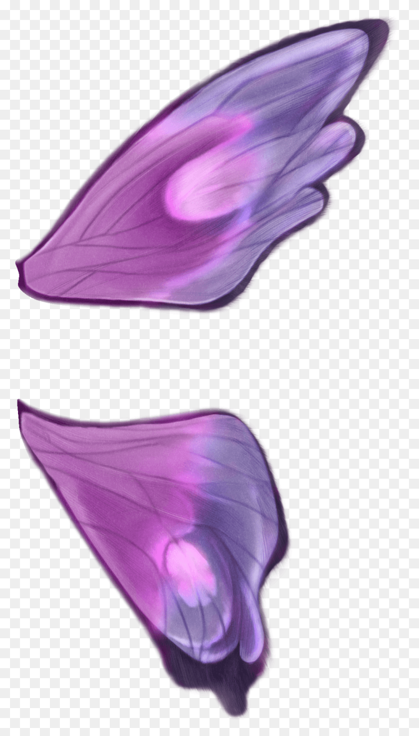 1021x1854 Бабочка Крылья Тюльпан, Фиолетовый, Растение, Лепесток Hd Png Скачать