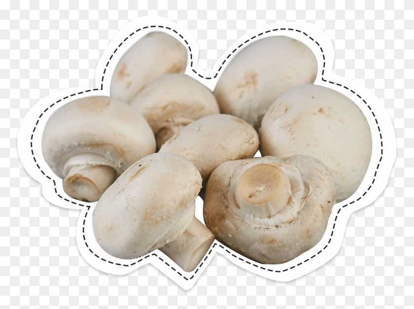 1228x893 Button Mushroom The Famous Back To Its Origins Champignon, Plant, Egg, Food HD PNG Download