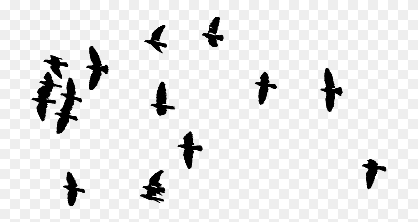 719x387 Button Pause Bird Flying Silhouette, Nature, Outdoors, Astronomy HD PNG Download