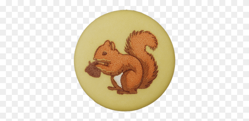 347x348 Button Shank Squirrel Article Cartoon, Sweets, Food, Confectionery HD PNG Download