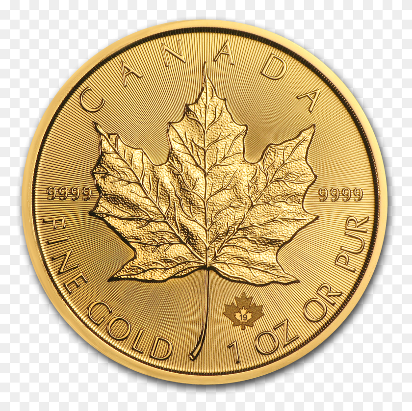 1463x1461 Buy 2019 Canada 1 Oz Gold Maple Leaf Bu Coin Online 2019 1 Oz Gold Maple Leaf, Leaf, Plant, Money HD PNG Download