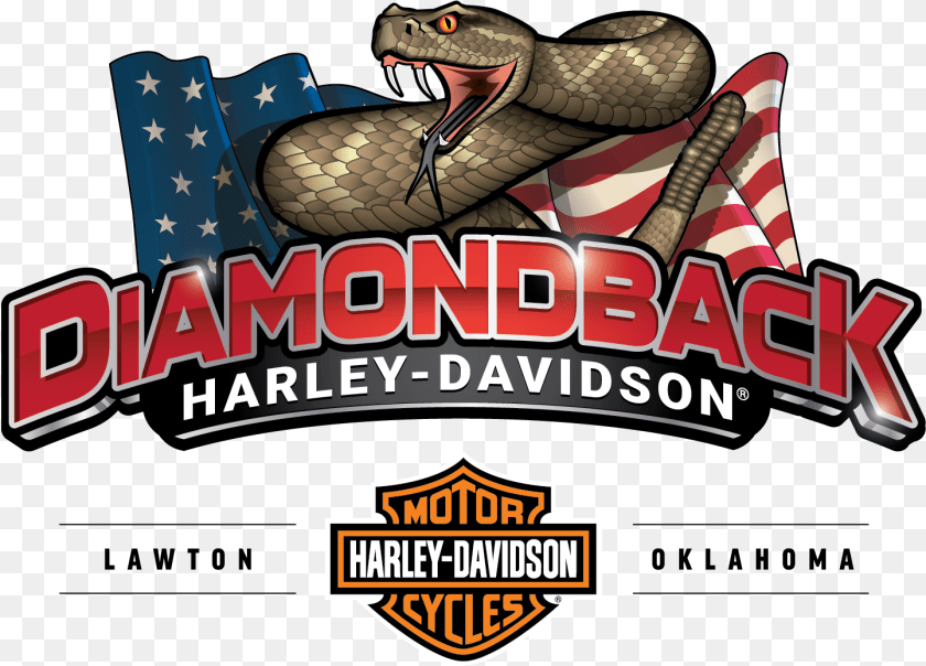 1443x1038 Buy A Harley Dealer Diamondback Davidson Diamondback Harley Davidson Lawton Ok, Animal, Reptile, Snake, Dinosaur Transparent PNG