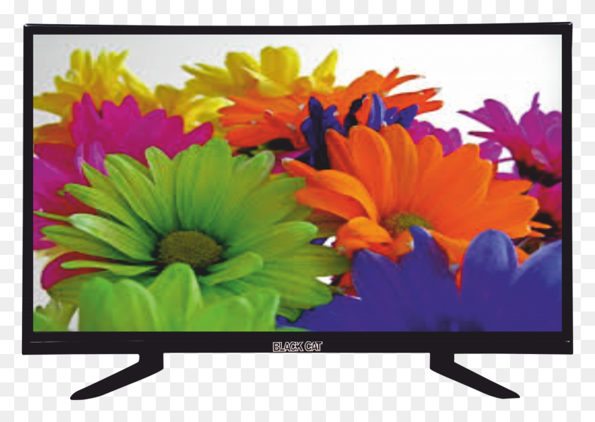 4759x3276 Buy Black Cat Bc Fhd Led Tv 24inch 60 Cm Full Fhd HD PNG Download