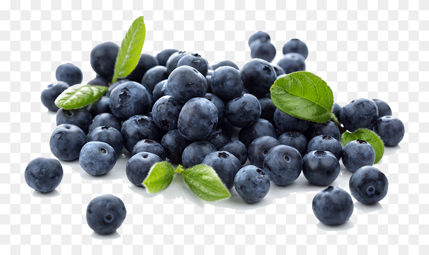747x440 Buy Blueberry In Pakistan, Plant, Fruit, Food HD PNG Download