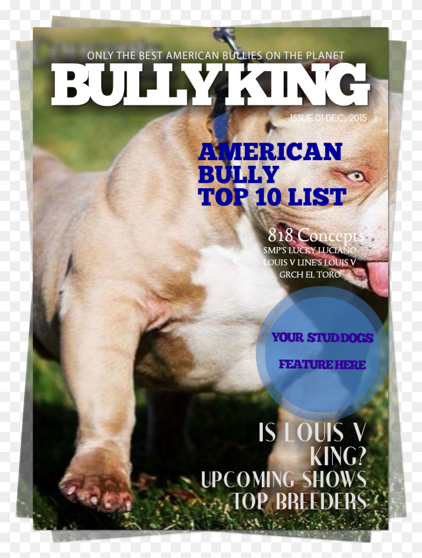 837x1128 Buy Bully King Year Subscription Now Pregadores Da Palavra De Deus, Snout, Canine, Mammal HD PNG Download