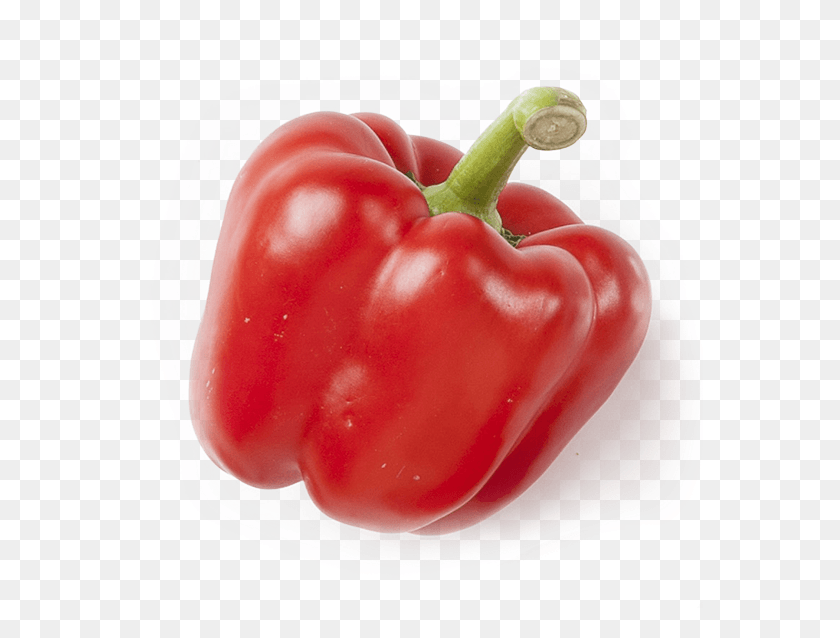 567x578 Buy Now Red Bell Pepper, Plant, Vegetable, Food HD PNG Download