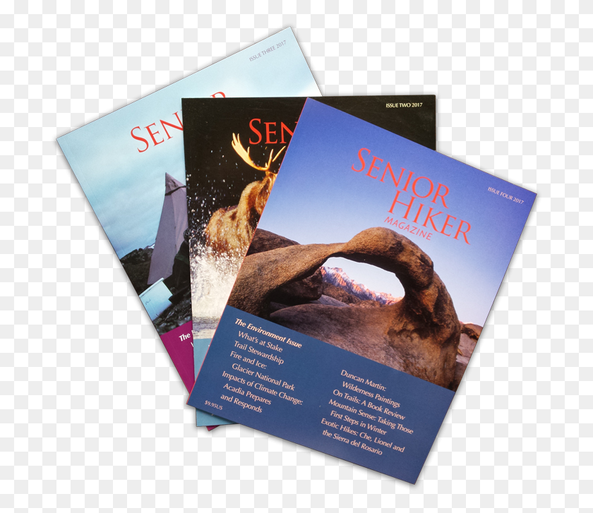 699x667 Buy Or Renew Subscription Flyer, Book, Poster, Advertisement HD PNG Download