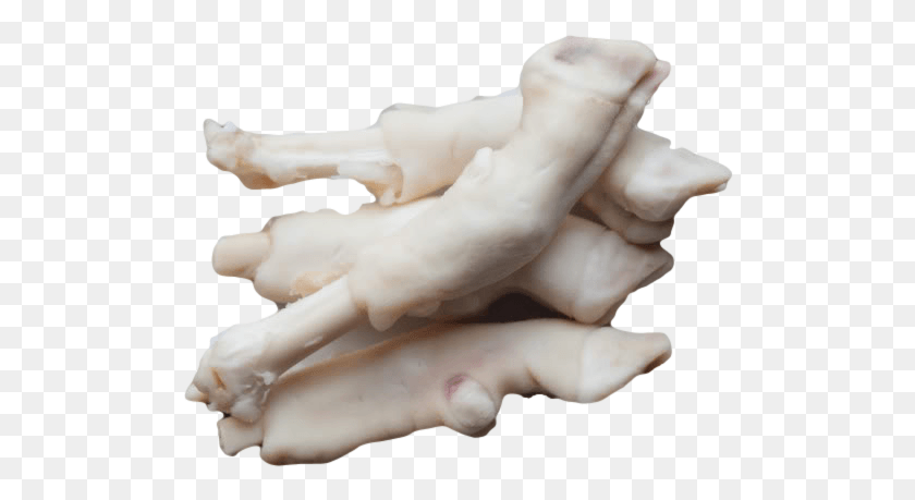 506x399 Buy Paya Sheep Trotters Online From Hds Mutton Paya Raw, Fungus, Hand, Plant HD PNG Download