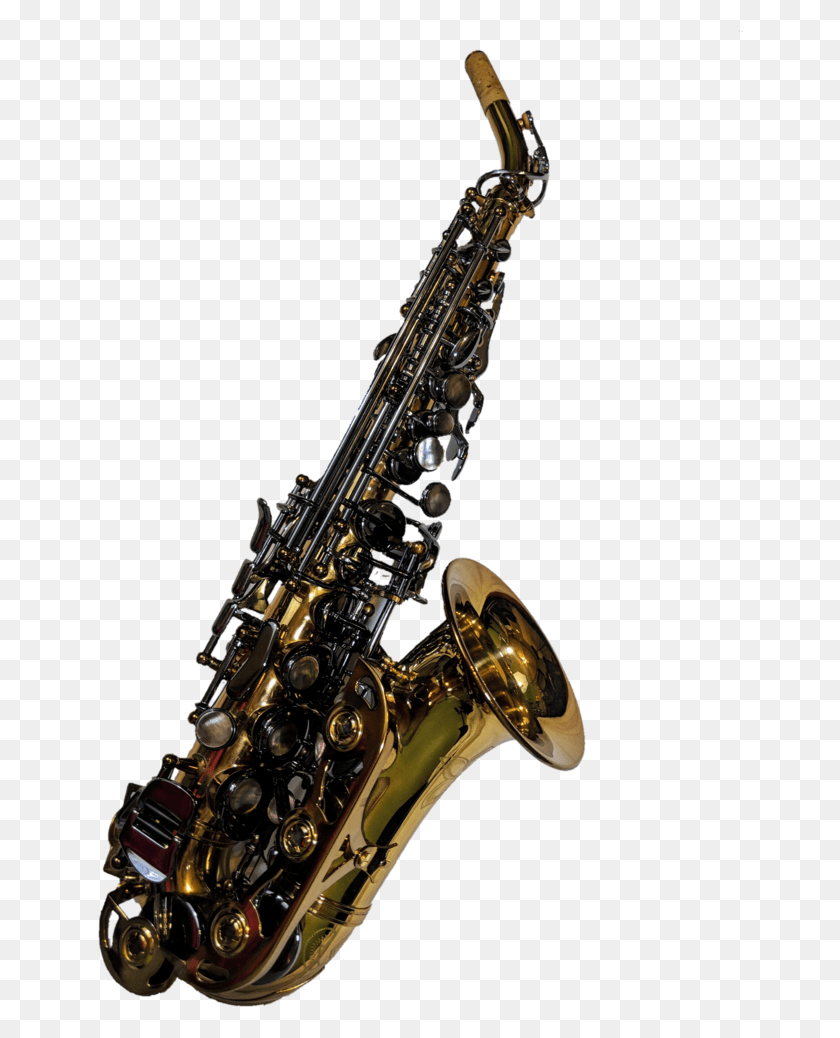 646x978 Buy Tgs Origin Series Professional Curved Saxophone Baritone Saxophone, Leisure Activities, Musical Instrument, Motorcycle HD PNG Download