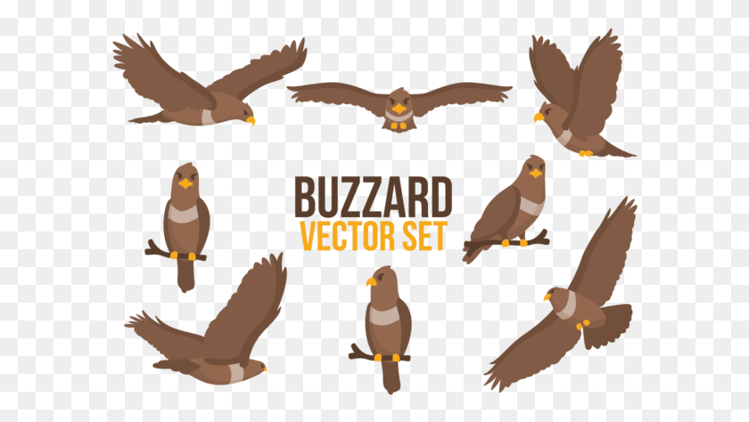 590x414 Buzzard Cartoons Vector Buzzard Vector, Animal, Bird, Eagle HD PNG Download