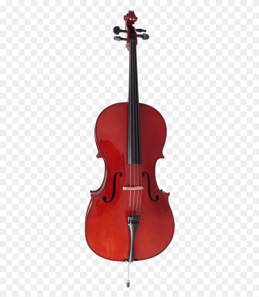 294x901 Descargar Png Bwing Cs1044 Cecilio Violonchelo, Instrumento Musical, Guitarra, Actividades De Ocio Hd Png