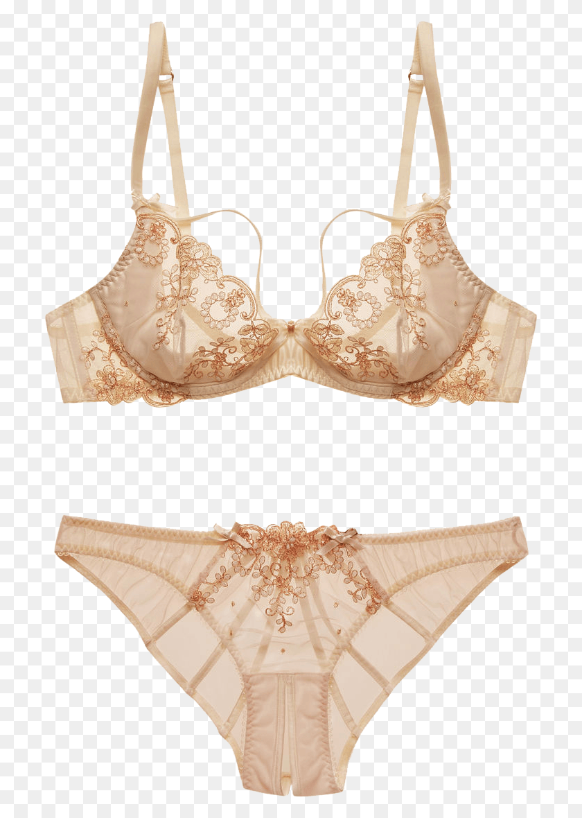 712x1120 By Agent Provocateur Lusina Bra And Panties Lingerie Transparent, Clothing, Apparel, Underwear HD PNG Download