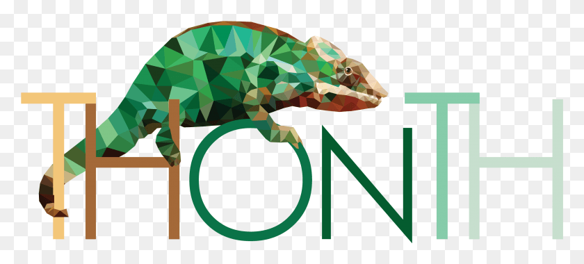 3209x1318 By Brian Shaw Last Updated Jun 5 Common Chameleon, Lizard, Reptile, Animal HD PNG Download