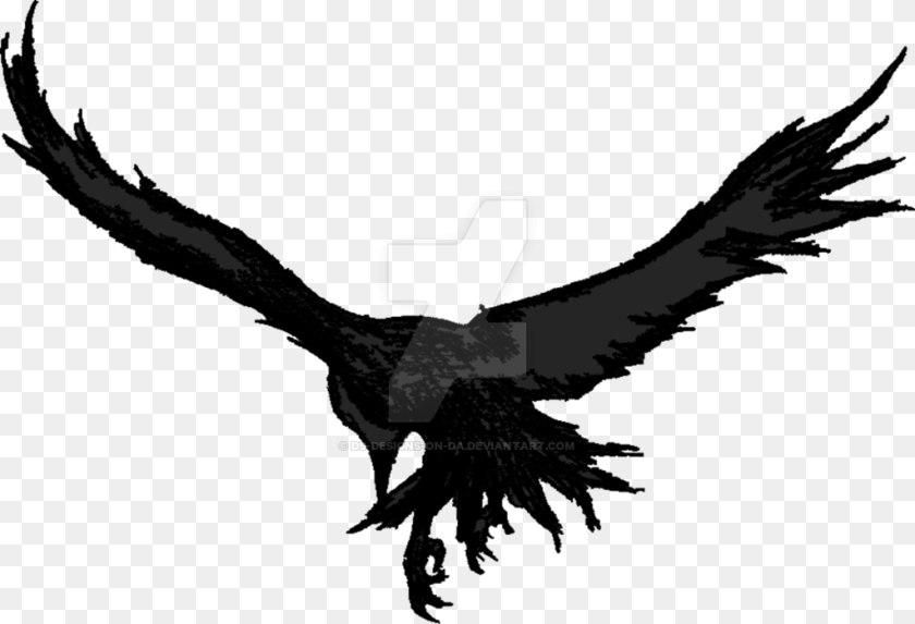 By Ds Designs On Da Dsdesignsonda Eagle Black Transparent, Animal, Bird, Flying, Vulture PNG