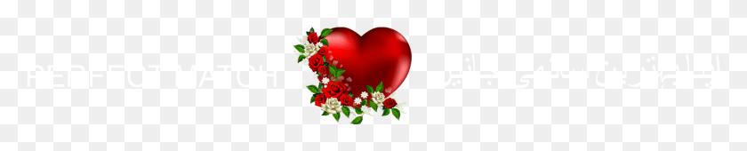 1328x188 Автор Wazifa Имама Али Perfect Match Lucky Names Amp Heart, Plant, Graphics Hd Png Download