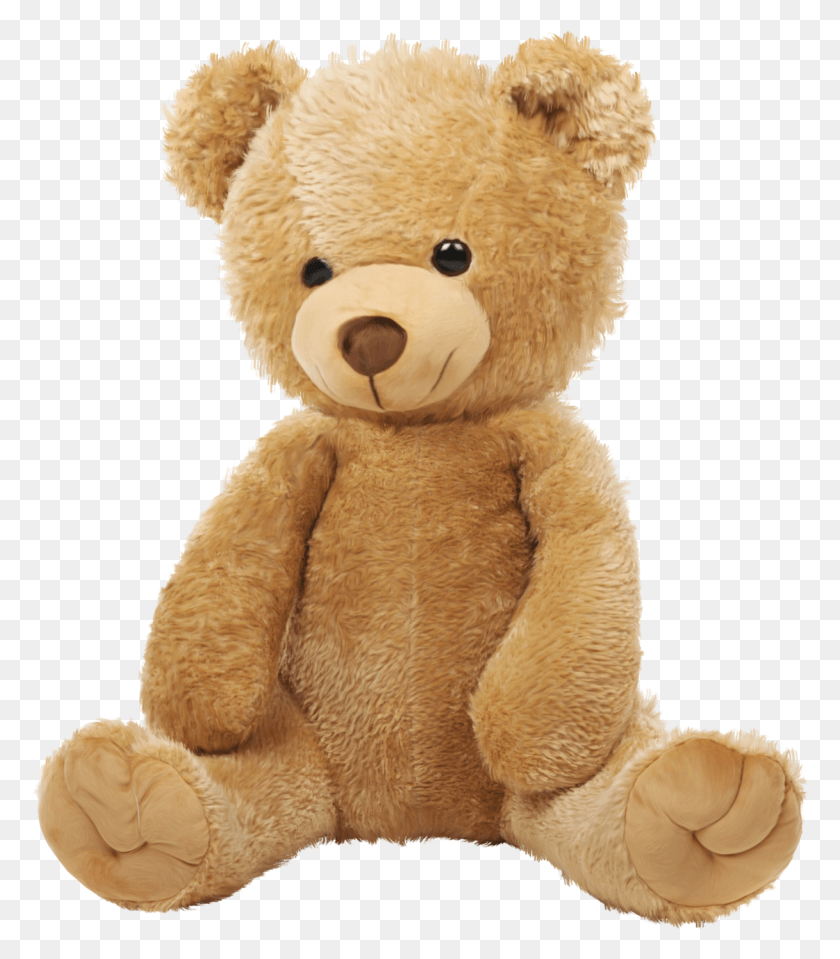 1217x1403 C816a B261ad19 Orig Brown Teddy Bear Teddy Bears Big Teddy Bear, Toy, Plush, Pillow HD PNG Download