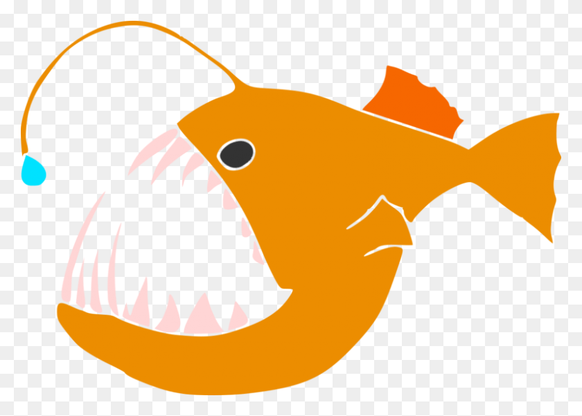 800x555 Ca Academyofsciences On Twitter Angler Fish Clip Art, Animal, Food, Plant HD PNG Download