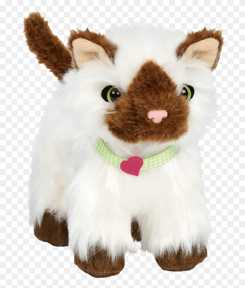 712x929 Juguete De Peluche De Ca Central, Felpa, Mamífero, Animal Hd Png