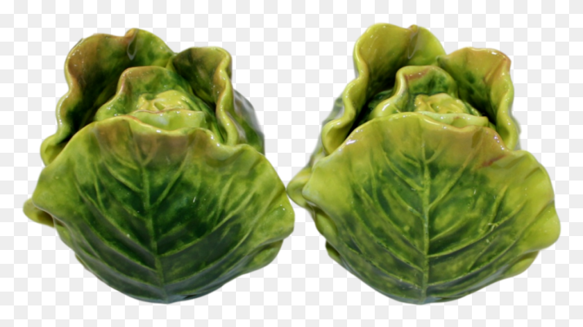 915x483 Cabbage, Plant, Vegetable, Food HD PNG Download