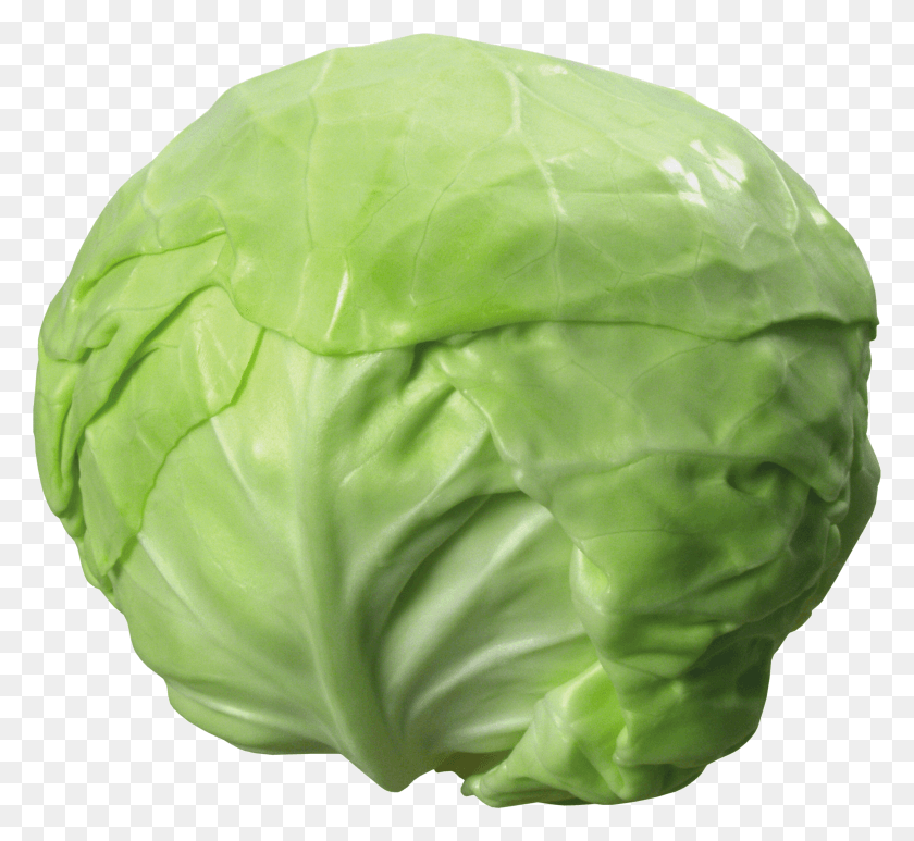 Cabbage HD PNG Download