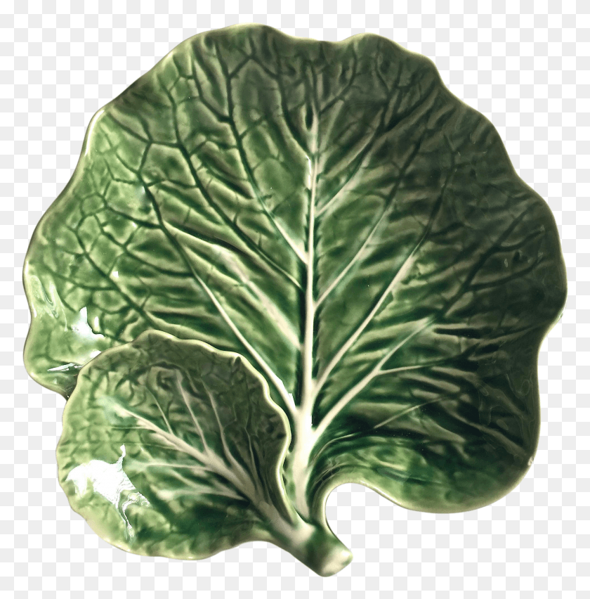 1953x1984 Cabbage For Sale Collard Greens HD PNG Download