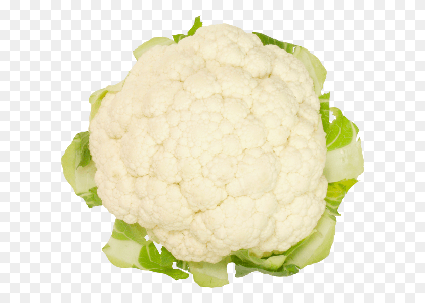 600x540 Cabbage Free Image Portable Network Graphics, Plant, Cauliflower, Vegetable HD PNG Download