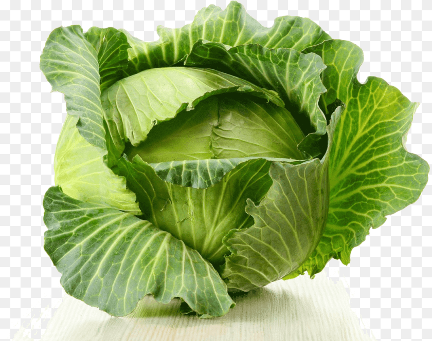 1045x826 Cabbage Kapusta Gif, Food, Leafy Green Vegetable, Plant, Produce Sticker PNG