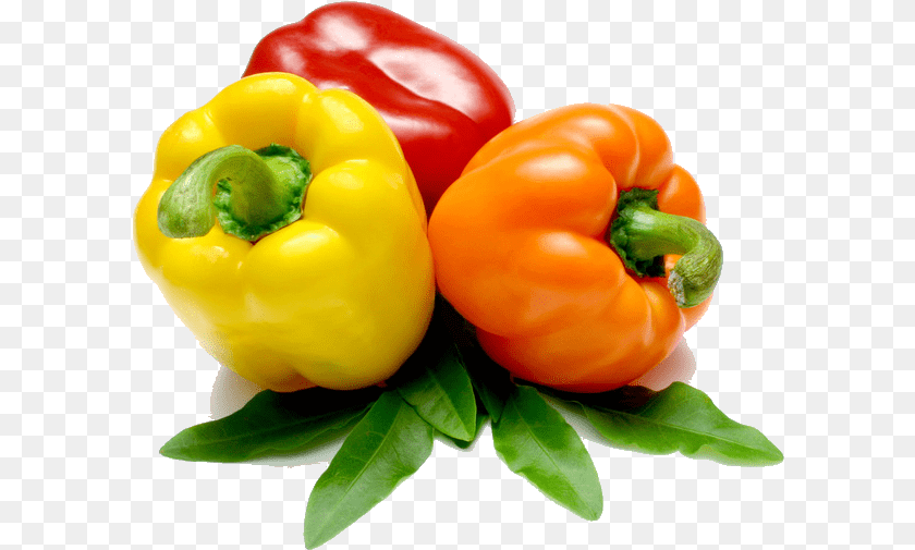 599x505 Cabbage Pepper, Bell Pepper, Food, Plant, Produce PNG